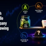 Why Cash Sitting Idle But Company Still Borrowing Is Odd