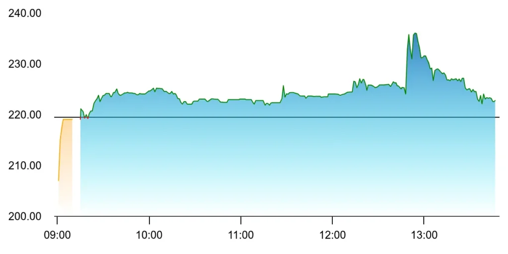 Indoco Remedies Ltd Stock Market Snapshot