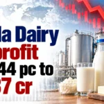 Dodla Dairy Q2 Profit Falls 44% to Rs 37 Cr